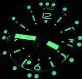 DIFICIANO Narwhal Dive Watch Dots Bezel No Date
